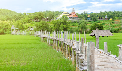 Fototapeta na wymiar Su Tong Pae Bamboo bridge for walking across rice fields , in Thailand.