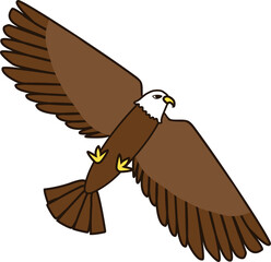 鷹のイラスト