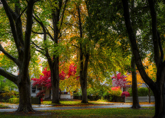 Coeur d'Alene Idaho Fall - color through the park trees