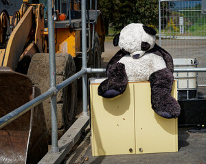 A sad and forlorn panda unloved and abandoned at a municipal refuse tip, Aotearoa / New Zealand © Gary