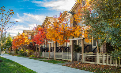 Quite and colorful sidewalk at residential area. Beautiful fall foliage and row of single-family houses. Beautiful fall