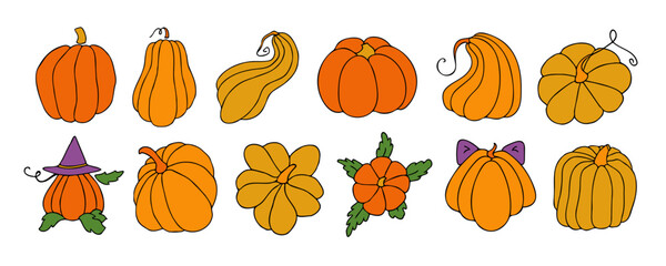 Autumn design template, hand drawn pumpkins, flat vector illustration