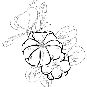 hand drawn illustration flower and butterfly 