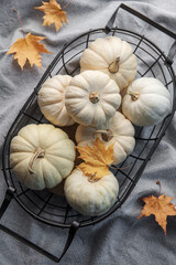 White pumpkins and autumn leaves