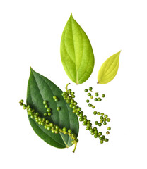 Fresh green peppercorns with leaf isolated on transparent png