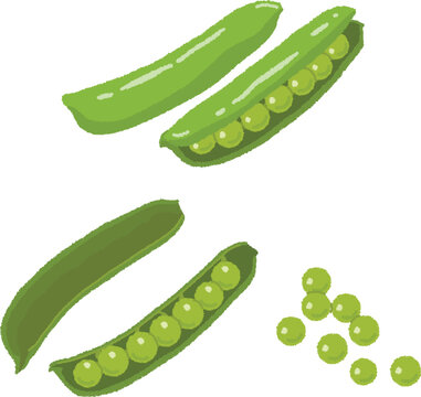 鶯豆 の画像 9 1 件の Stock 写真 ベクターおよびビデオ Adobe Stock