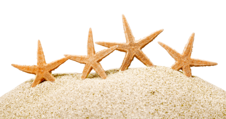 Sea stars on sand, close-up view