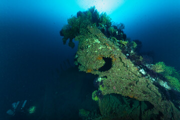 Relitto del Loredan con gorgonie  e sub con rebreather, vicino a Villasimius, Sardegna
