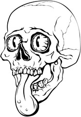 Hand drawn human skull isolated on white.