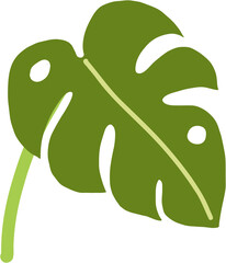 boho monstera leaf freehand drawing flat design.