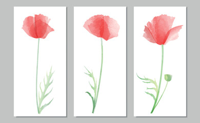 Vector illustration of three different red poppies - 543362195