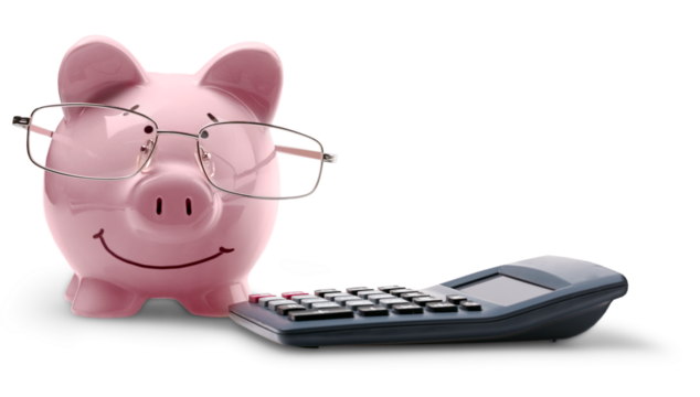 Piggy Bank Wearing Glasses With Calculator