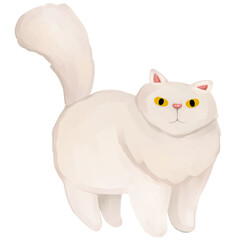 Persian cat hand drawn illustration