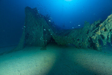 Peschereccio Bacan affondato nel golfo dell'Asinara, ricoperto da una vecchia rete a strascico