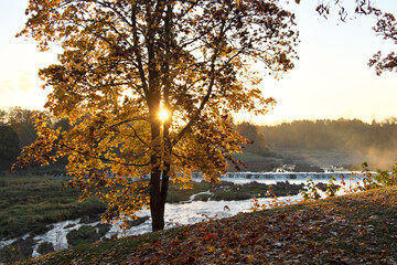 Morning View of the Rumba Falls. Autumn landscape. Kuldiga, Latvia. Selective focus.
