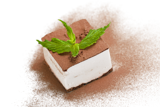 Tasty tiramisu cake  on background