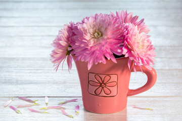 Beautiful pink chrysanthemum flowers in a cup on a white wooden table - Powered by Adobe