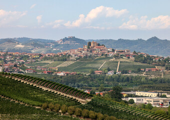 Langhe vineyards near Grinzane Cavour. Unesco Site, Piedmont, Italy - obrazy, fototapety, plakaty