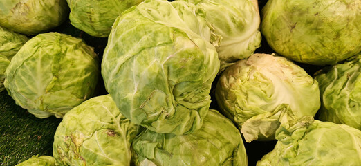 Group of green cabbage in supermarket. Cabbage background.