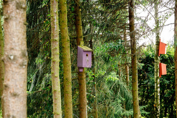 Colorful wooden nesting boxes for birds