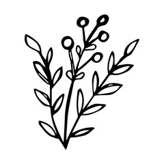 hand drawn botanical flower doodle element for floral design concept