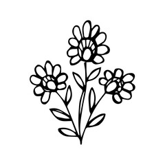 hand drawn botanical flower doodle element for floral design concept