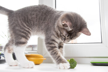 Tabby cat playing with grass 3