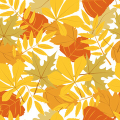 A seamless pattern of autumn leaves, hand-drawn doodle-style elements. Bright maple, oak, and aspen leaves. A carpet of autumn leaves. Thanksgiving. Back to school for the kids. Halloween. Autumn.