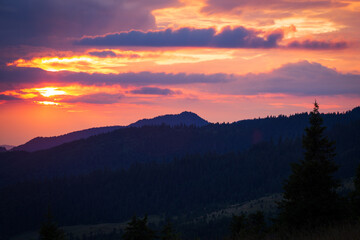 a beautiful landscape