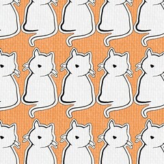 Nong Meow