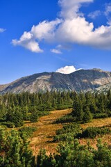 Obraz premium Beautiful summer landscape. Beautiful sunny day in the Polish Tatra Mountains.