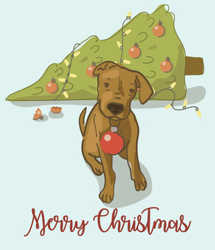 Cute postcard for Christmas, New Year with a dog and a New Year's toy in his teeth. Chaos at home on New Year's Eve. Funny story in pictures. Suitable for printing on clothes and on postcards.