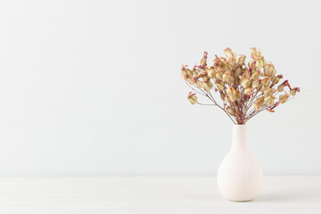 Flower in vase on pastel wall background.