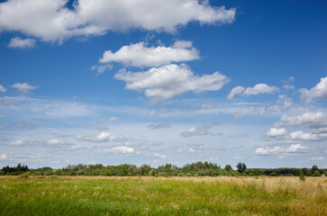 Beautiful summer rural landscape. Meadow with trees and grass against the clouds sky