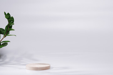 Abstract minimal scene with geometric shapes. Cylindrical wooden podium.