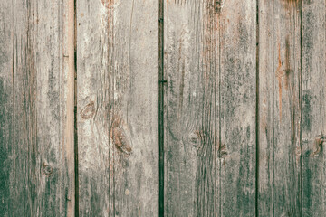 Naklejka premium Old weathered wooden planks with faded green paint remains texture background
