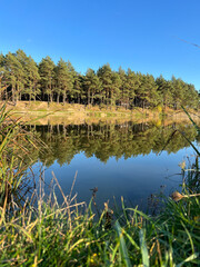 Autumn mood landscape with lake and forest in the perfect sunny weather