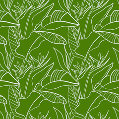 Seamless pattern with tropical plants, strelitzia flowers