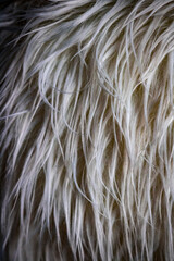 Fourrure synthétique