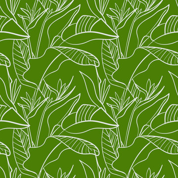 Seamless pattern with tropical plants, strelitzia flowers
