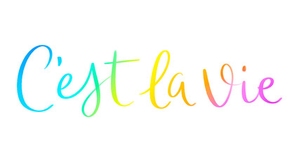 C'EST LA VIE colorful brush lettering on transparent background