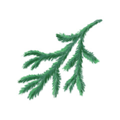 Christmas fir branches in the background