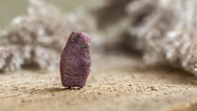 Rough Uncut Pinkish Ruby Stone on Wood Background