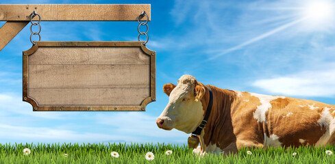 Empty wooden sign hanging on a metal chain on a pole with copy space and a brown and white dairy...