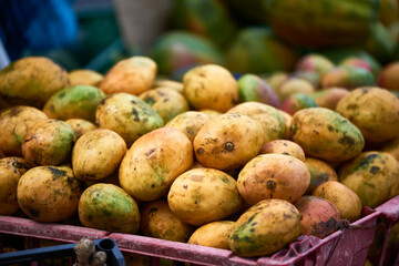 Tropical Fruits, Panama City, Republic of Panama, Central America, America.