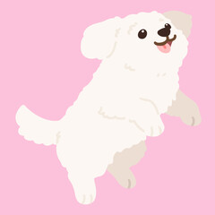 Flat colored simple and adorable white Maltese dog jumping illustration