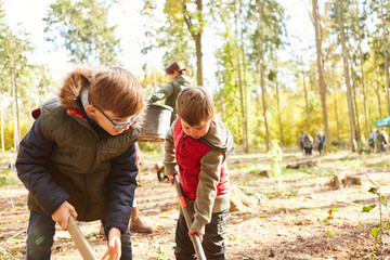 Zwei Jungen helfen bei der Aufforstung Aktion im Wald