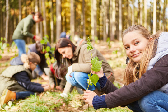 Mädchen pflanzt einen Baum Setzling als Klimawandelbaum