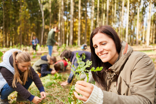 Frau als Umweltschutz Aktivist beim Baum Setzling pflanzen
