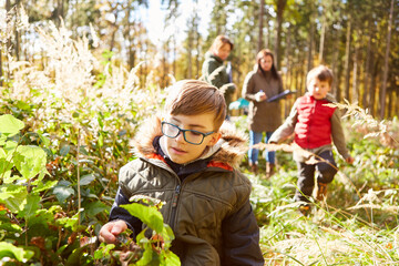 Junge betrachtet neugierig Pflanzen im Wald bei Waldführung